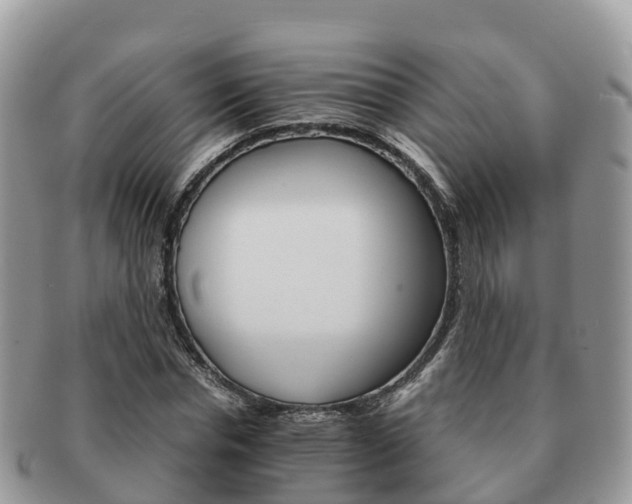 X0000091180826200708161516