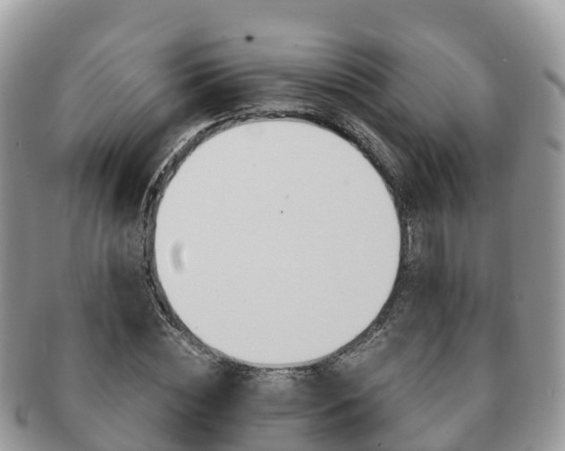 X0000091180828200708161516