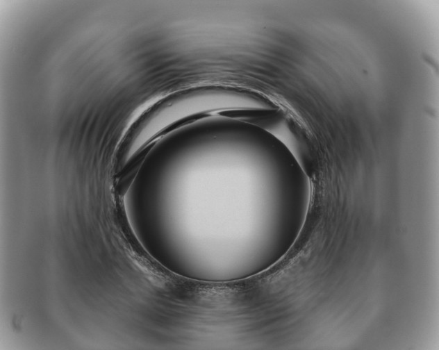 X0000091180830200708161516