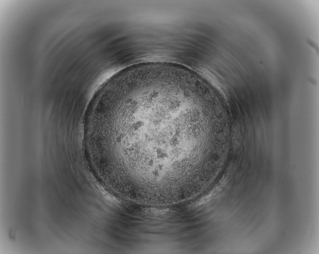 X0000091180831200708161516