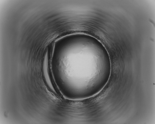 X0000091180833200708161516