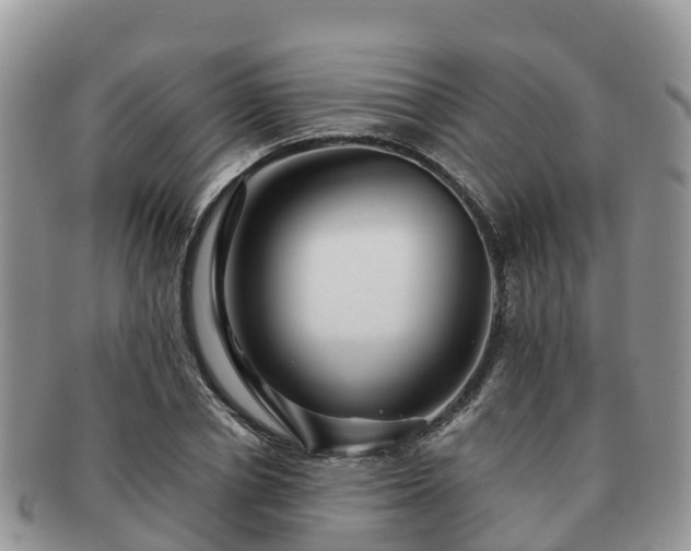 X0000091180834200708161516