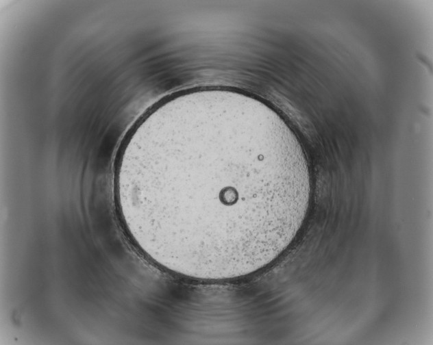 X0000091180836200708161516
