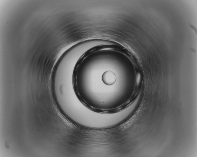 X0000091180838200708161516