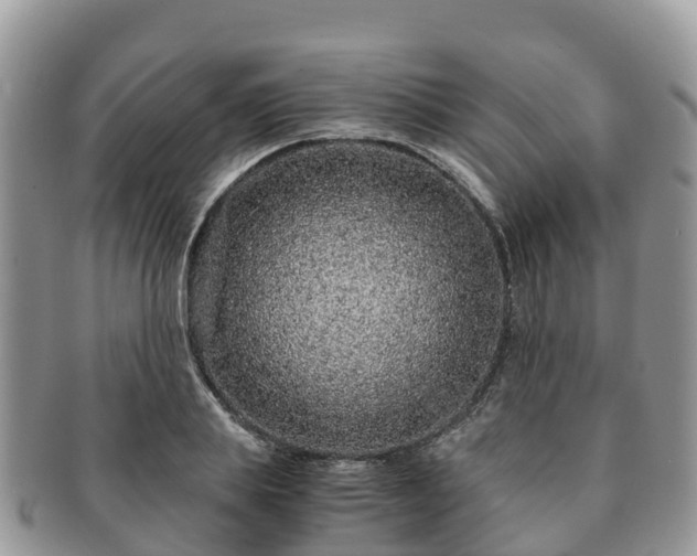 X0000091180839200708161516