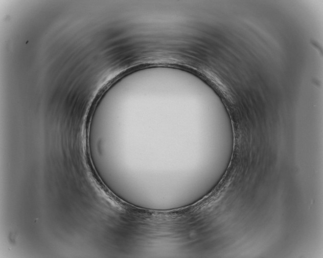 X0000091180840200708161516