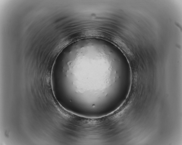 X0000091180841200708161516