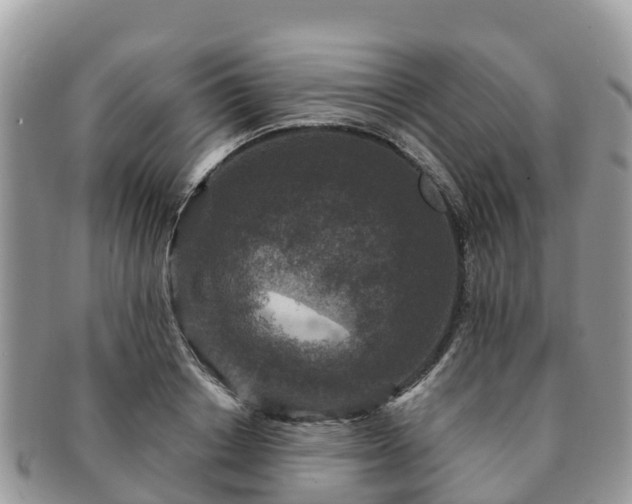 X0000091180842200708161516