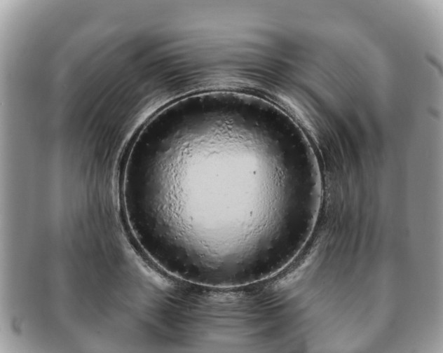 X0000091180843200708161516