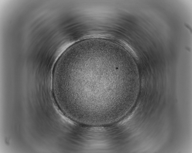 X0000091180844200708161516