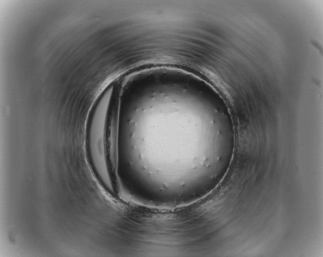 X0000091180845200708161516