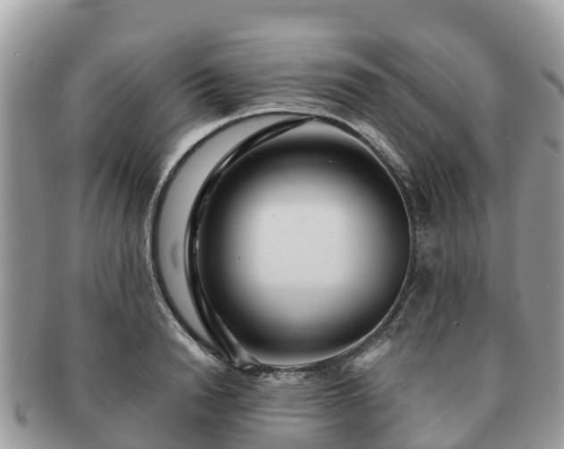X0000091180846200708161516