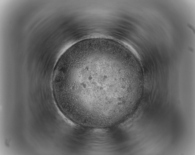 X0000091180847200708161516