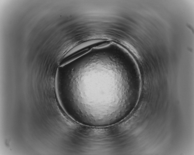 X0000091180849200708161516