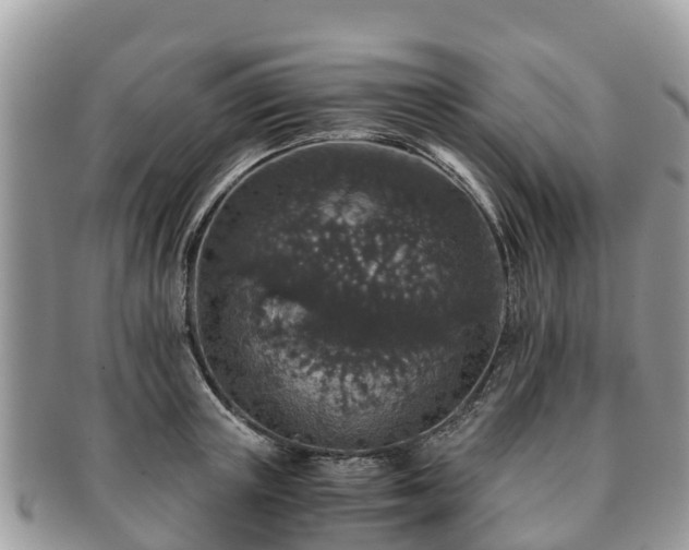 X0000091180851200708161516