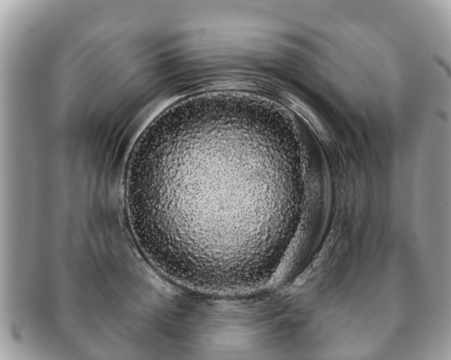 X0000091180852200708161516