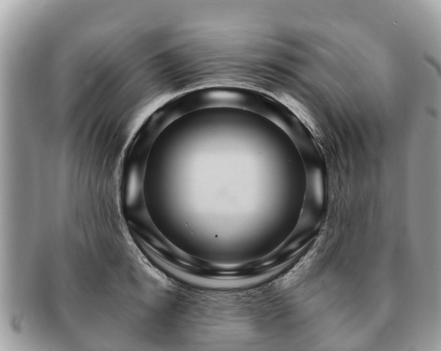 X0000091180854200708161516
