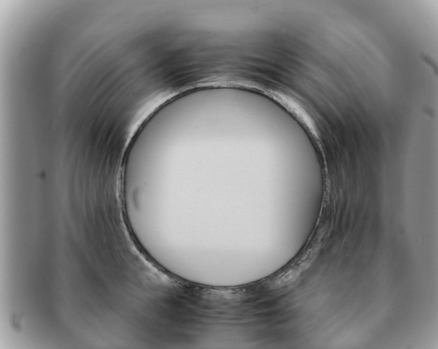 X0000091180855200708161516
