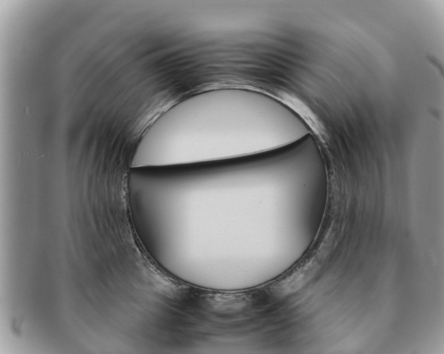 X0000091180857200708161516