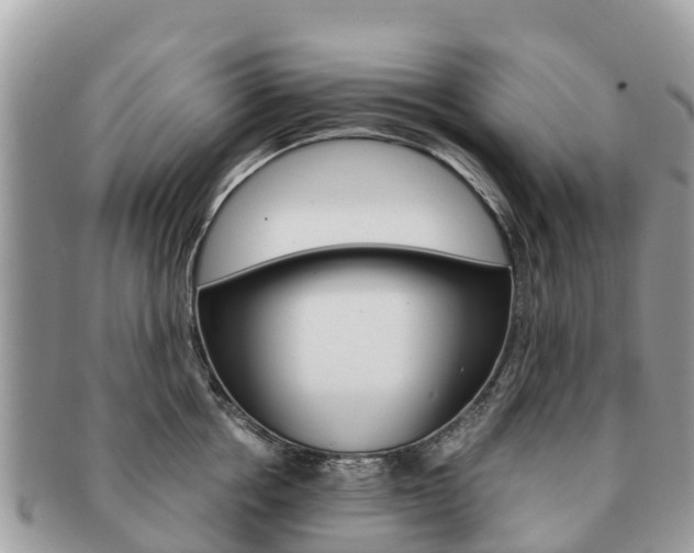 X0000091180858200708161516