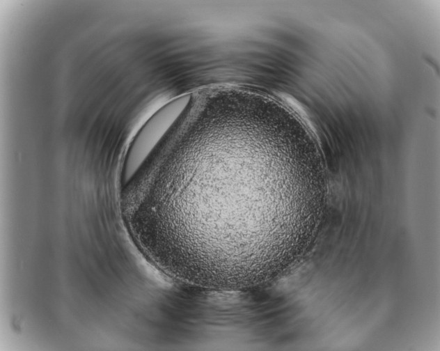 X0000091180859200708161516