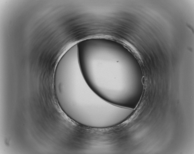 X0000091180860200708161516
