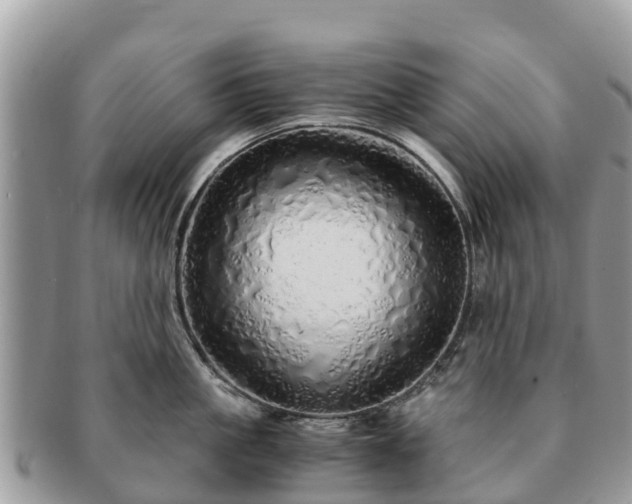 X0000091180861200708161516