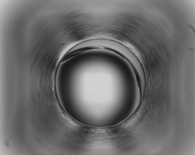 X0000091180862200708161516