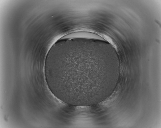 X0000091180863200708161517