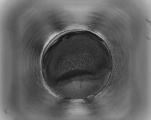X0000091180864200708161517