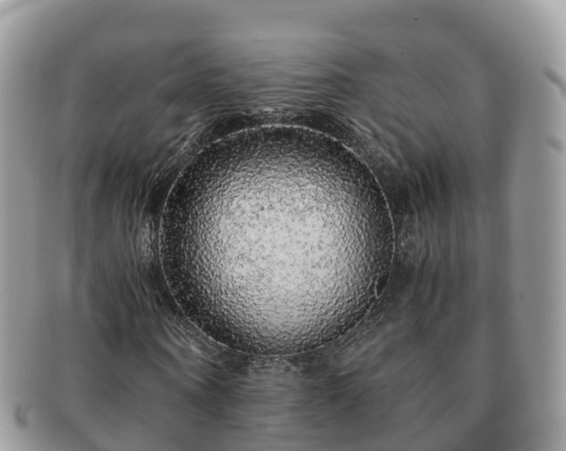 X0000091180866200708161516