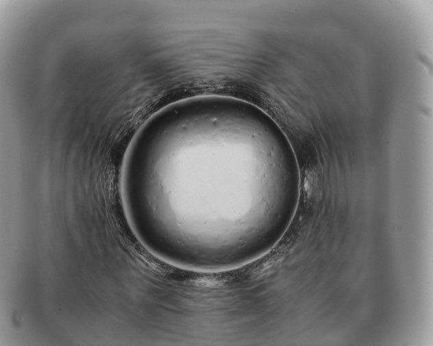 X0000091180867200708161516