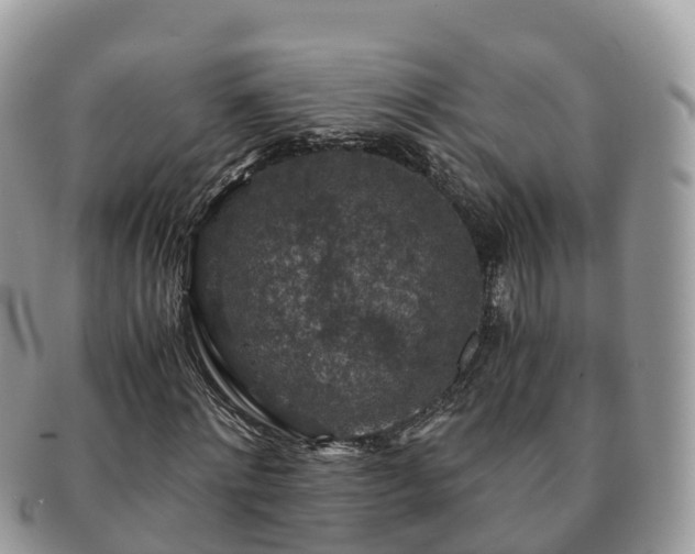 X0000091180868200708161516
