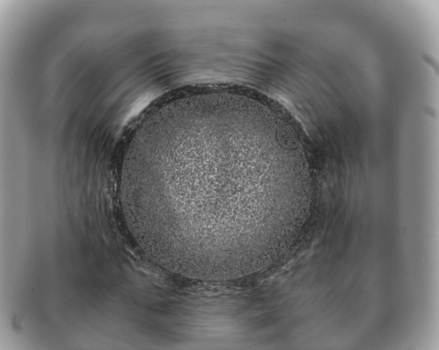 X0000091180871200708161516