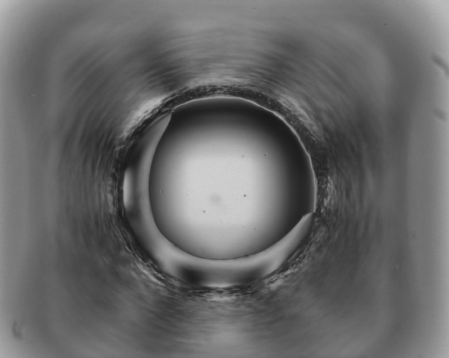 X0000091180872200708161516