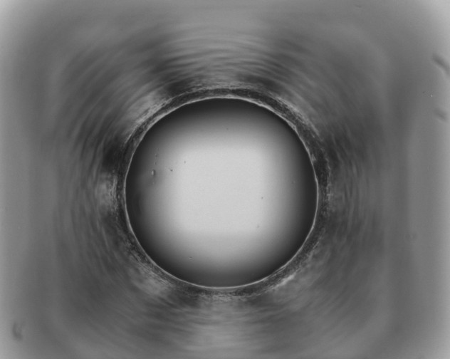 X0000091180873200708161516
