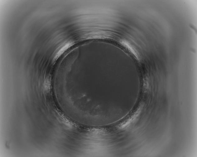 X0000091180874200708161516