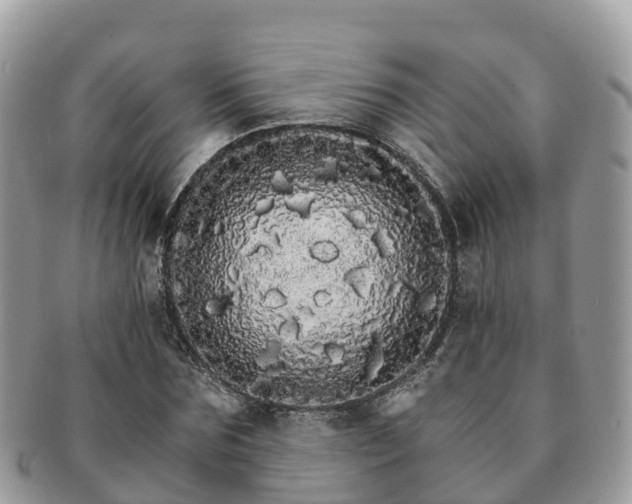 X0000091180875200708161516