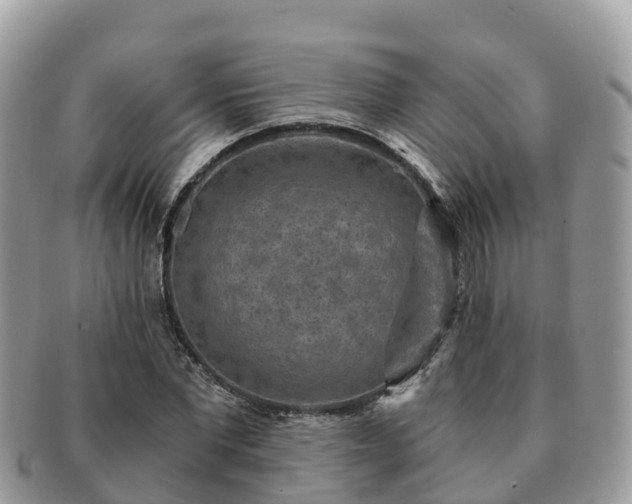 X0000091180877200708161516