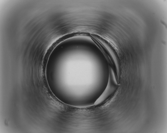 X0000091180880200708161516