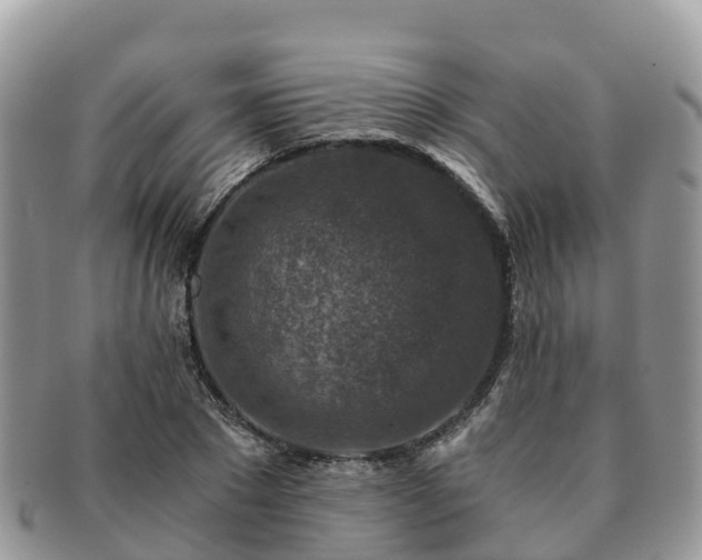 X0000091180881200708161516