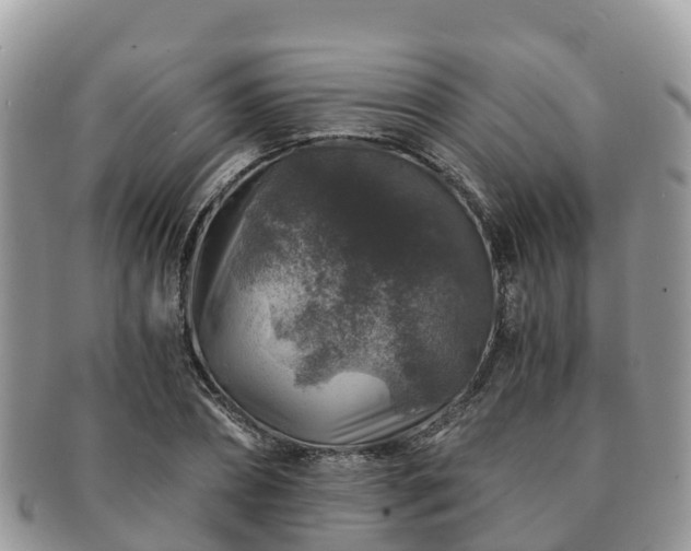 X0000091180882200708161516