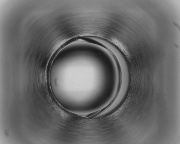 X0000091180884200708161516