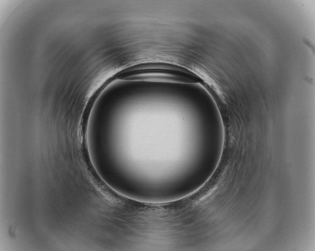X0000091180885200708161516