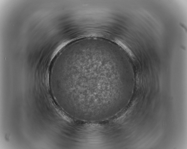 X0000091180886200708161516