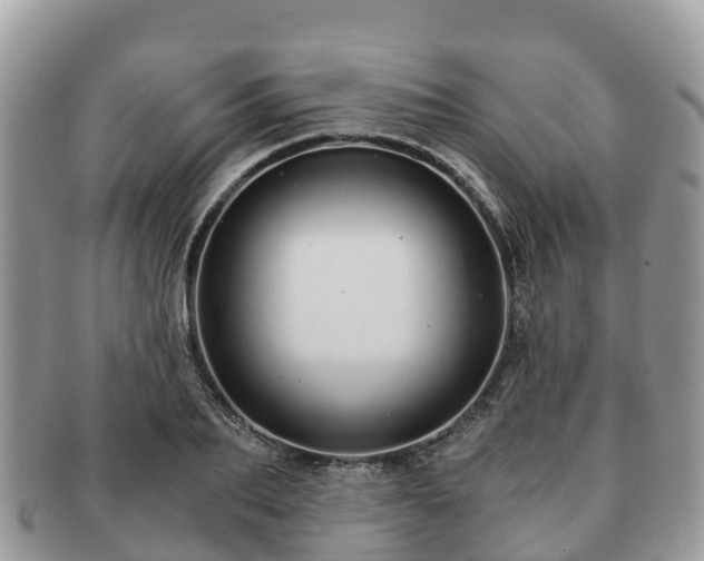 X0000091180887200708161516