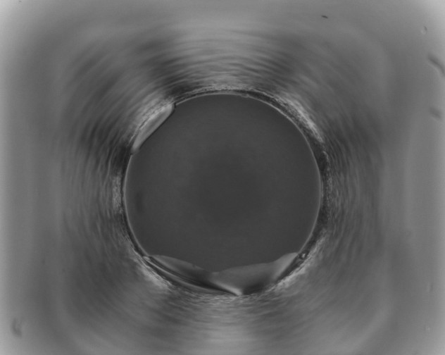 X0000091180889200708161516