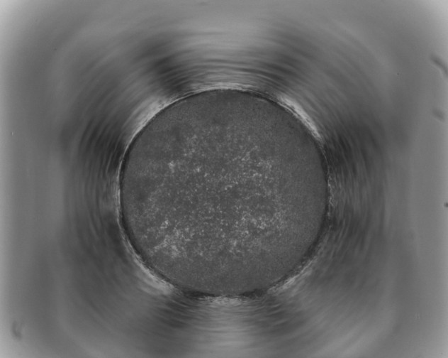 X0000091180890200708161516