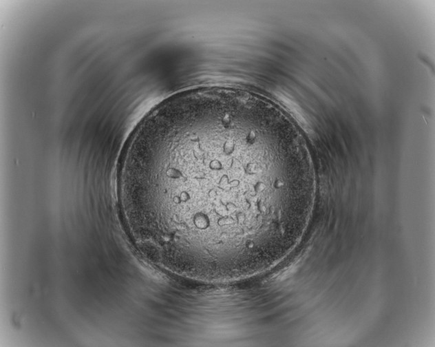 X0000091180891200708161516