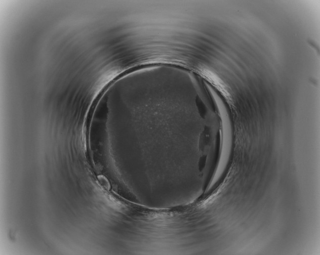 X0000091180892200708161516